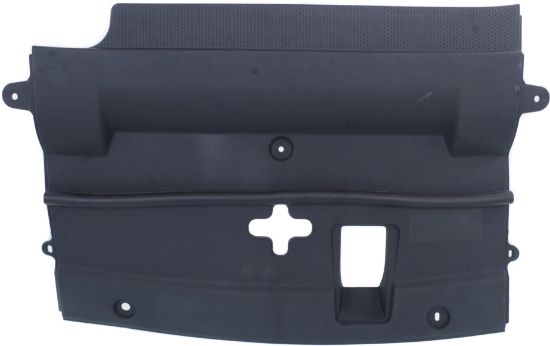 Picture of Radiator Support Cover