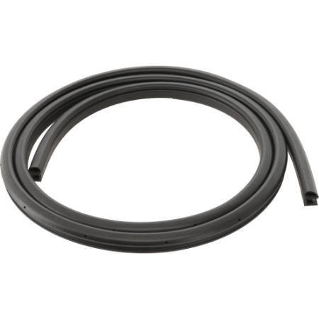 Picture for category LT Rear door weatherstrip